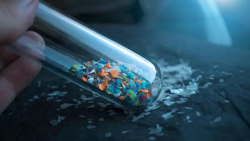 Mikroplastikler İnsan Beynine Ulaşabiliyor: Sağlığımız İçin Tehdit Mi?