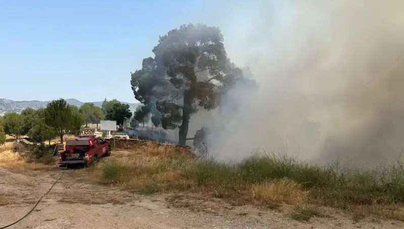 Muğla Orman Yangını: Psikolojik Etkileri ve Toplum Üzerindeki Yansımaları