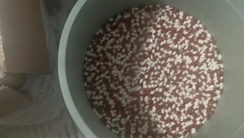 Sokaklardan Çöpe Atılan Uyuşturucular: Psikolojik Etkileri ve Toplumsal Yansımaları