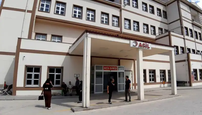 Bolu'da Ayı Avı Tartışmaları: Psikolojik Etkileri ve Toplumsal Yansımalar