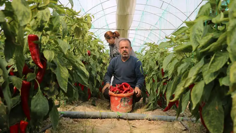 Psikolojide Anlık Tüketim Araştırmaları: Fiyat Artışı İnsanları Nasıl Etkiliyor?