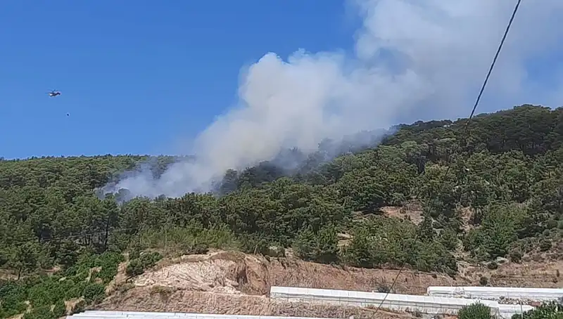 Kumluca'daki Orman Yangını: Psikolojik Etkileri ve Toplum Üzerindeki Yansımaları