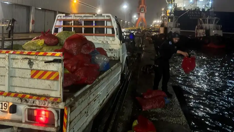 Kaçak Midye Operasyonu: İkili Etkisi Psikolojinizi Nasıl Etkiler?