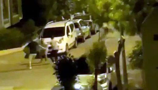 Avcılar’da 3 Kişinin Saldırısına Uğrayan Vatandaşı Kurtaran Cesur İnsanlar