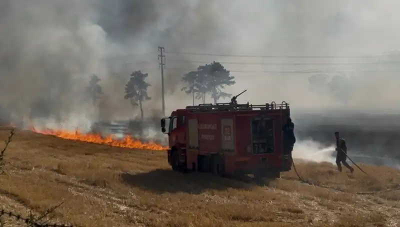 Kırklareli'nde Korkunç Anız Yangını: Psikolojik Etkileri ve Önlemler