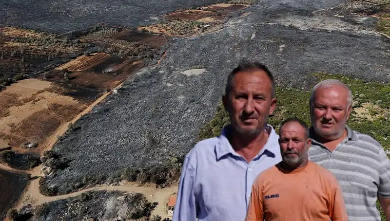 Çeşme Yangını: Psikolojik Etkileri ve Toplumun Dayanışma Gücü