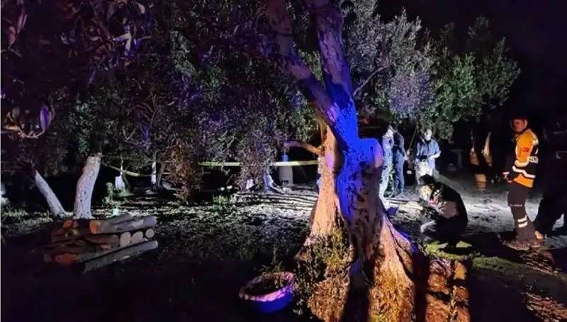 Çiftlikteki Kanlı Olay: Baltalı Vahşet ve Tutuklama Şok Ediyor