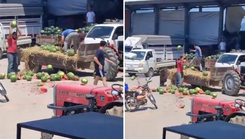 Karpuzları Yere Atıp Parçalayan Çiftçilere Moral Bozan Tespitler!