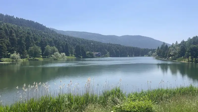 Bolu'nun Milli Parklarında Ziyaretçi Akını: Doğa, Ruhumuza İyi Geliyor
