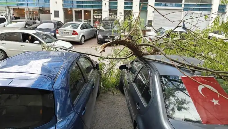 Kayseri'de Dalları Kıran Fırtına: Psikolojik Etkileri ve Önlemler