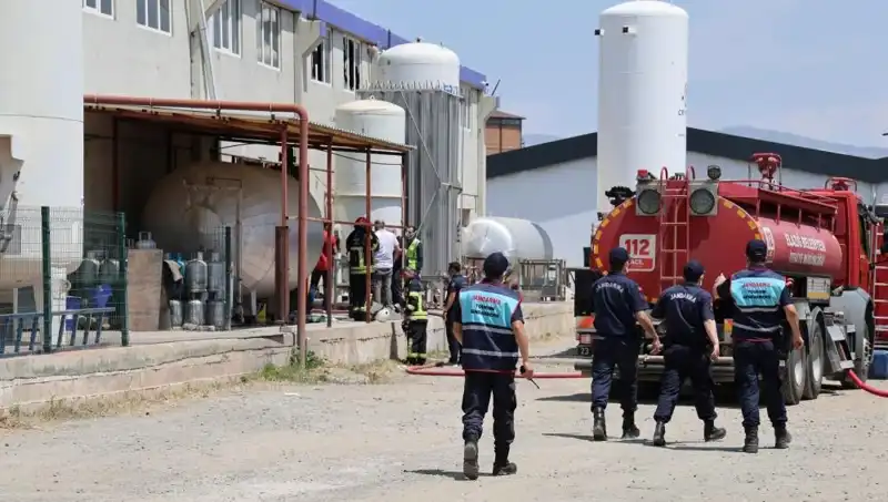 Elazığ'daki Gaz Dolum Tesisinde Patlama: Psikolojik Etkileri ve Toplum Üzerindeki Yansımaları