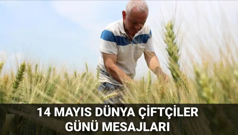 Çiftçiler Günü'nde Psikolojinin Rolü: Toprağa Can Verenlerin Zihin Sağlığı