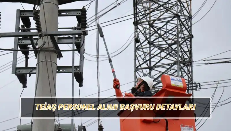 TEİAŞ Personel Alımı: Başvuru Tarihleri ve Şartları Nedir?