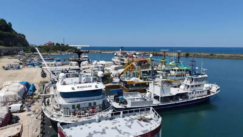 Karadeniz'de 1 Eylül: Psikolojik Etkiler ve İnsanın Doğası Üzerindeki Yansımaları