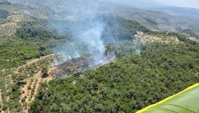 Aydın'daki Orman Yangını: Psikolojik Etkileri ve Toplumsal Dayanışma