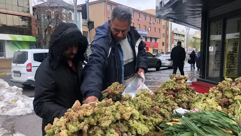 Kendiliğinden Yetişen Vitamin Deposunun Kanser Tedavisindeki Rolü