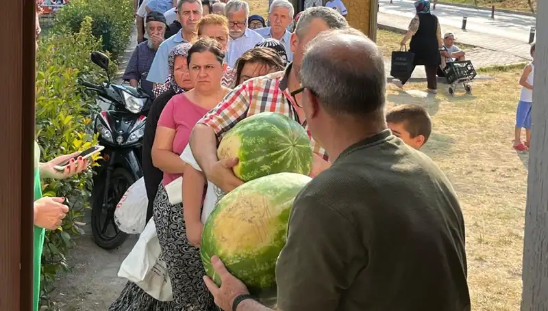 Hasat Döneminde Tarlada Kalan Ürünler: Psikolojik Etkileri ve Çözüm Önerileri