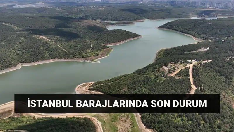 İstanbul'da 2023 Baraj Doluluk Oranları: Psikolojik Etkileri ve Önlemler