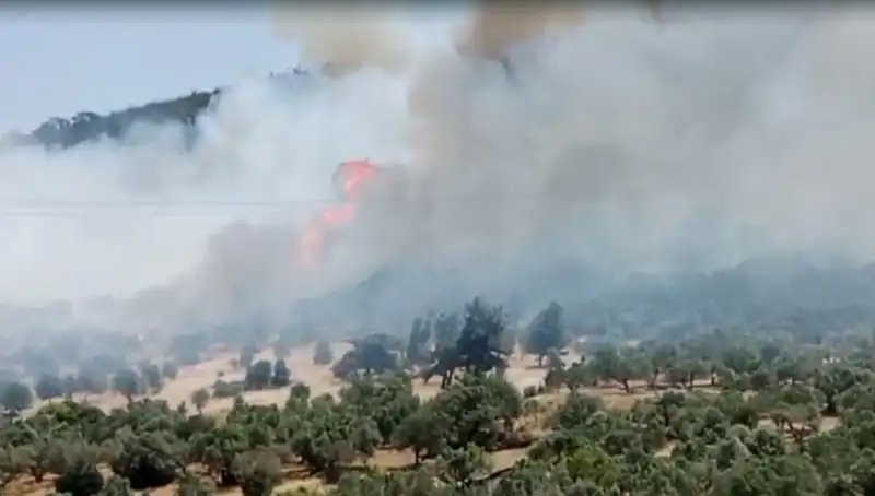 İzmir Orman Yangını: Psikolojik Etkileri ve Yaralarımızı Sarmak
