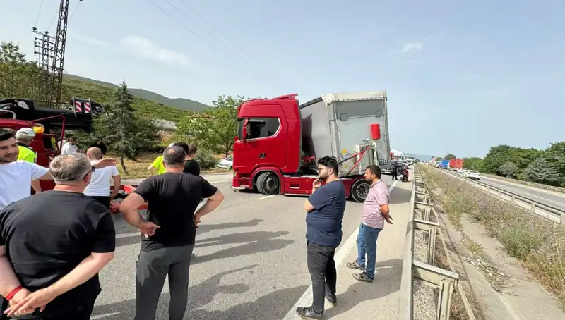 Seyir Halindeyken Arı Soktu: Araçta Şok ve Trafik Felaketi!