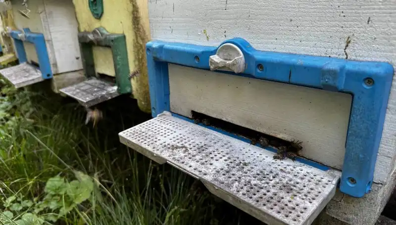 Dedesinin Nasihatiyle Tarıma Adım Attı: 1 Ton Üretim Hedefi