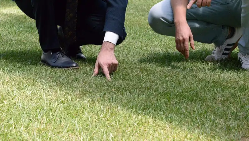 Tartışmalara Sebep Olan Stadyum Zemininde Son Gelişmeler Neler?