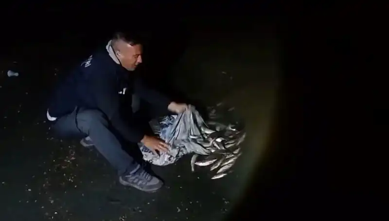 İzlanda'da Bir Ton İçi Kefali Yakalandı: Psikolojik Etkileri Neler?