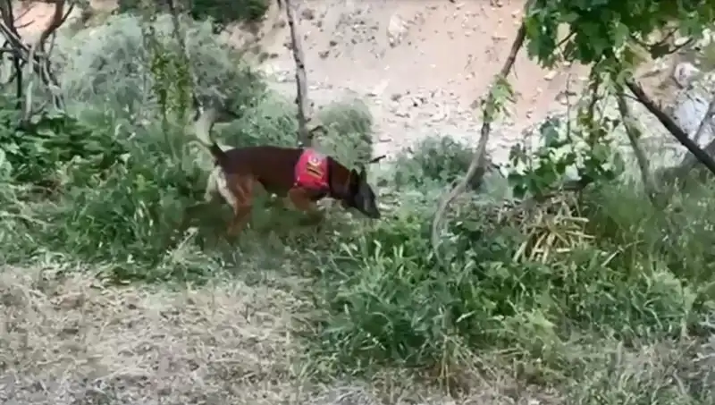 Dedektör Köpeğin Bulduğu Gizem: Dere Kenarındaki Esrar Neler Söylüyor?