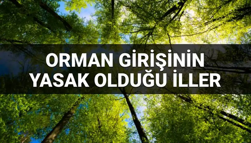 2025'te Hangi İllerde Ormana Girmek Yasak? İşte O Bölgeler!