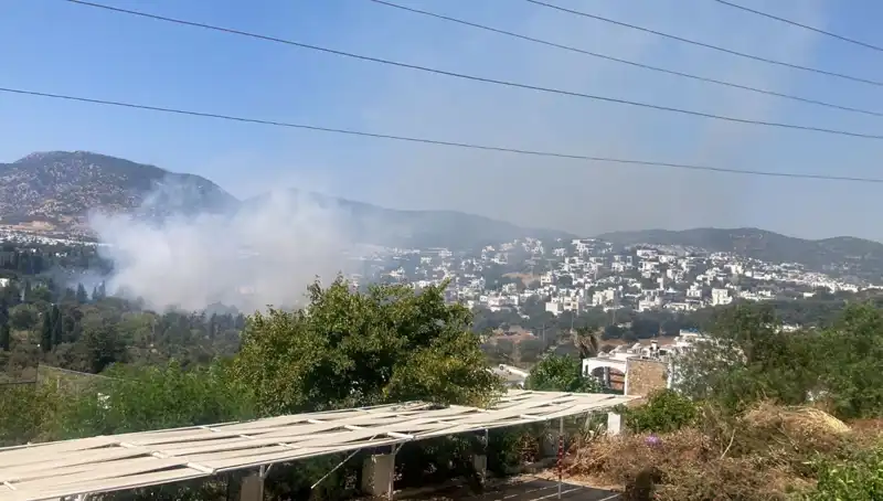 Muğla Orman Yangınları Kontrol Altına Alındı: Psikolojik Etkileri Neler Olacak?