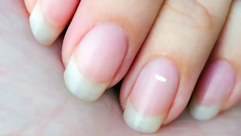 Tırnaklarınız Hayatınız Hakkında Ne Söylüyor? Uzmanlar Açıklıyor!