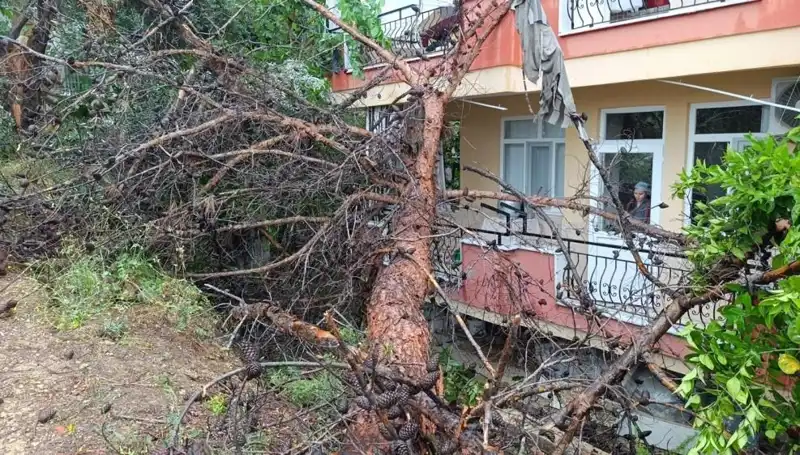 Yağmur Yüküyle Sarsılan Binanın Çöküşü: Psikolojik Etkileri Neler Olacak?
