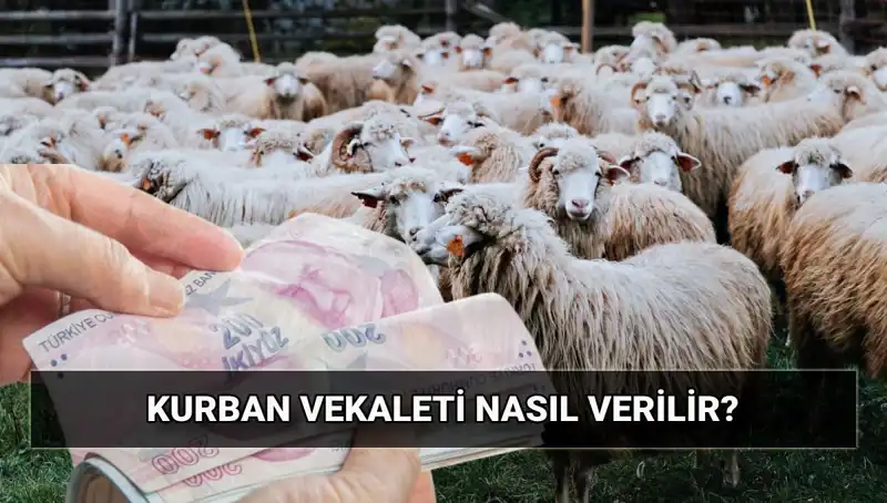 Vekaletle Kurban Kesimi: Diyanet’in 2025 Yılı Bedeli ve Süreç