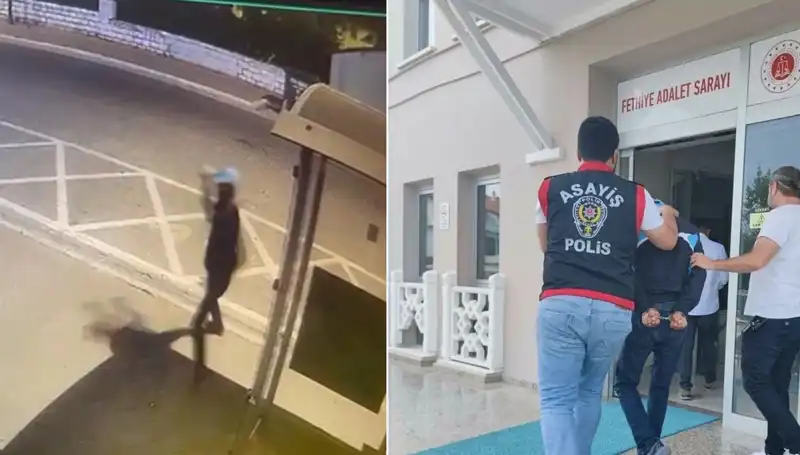 AK Parti Binasına Taş Atan Şüpheli Tutuklandı: Psikolojik Nedenler Üzerine Düşünceler